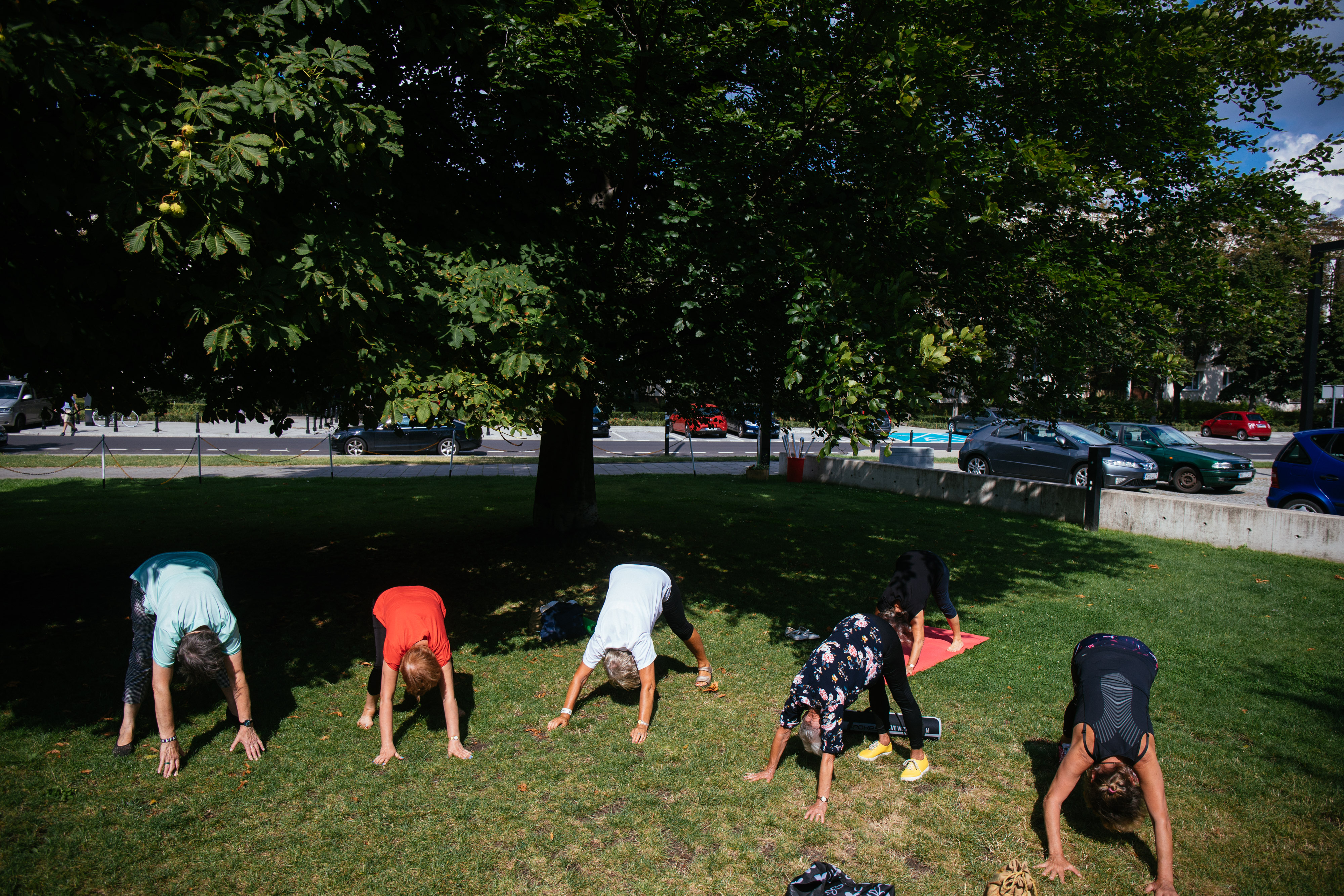 na obrazie widzimy grupę seniorów, w trakcie ćwiczeń w parku. 