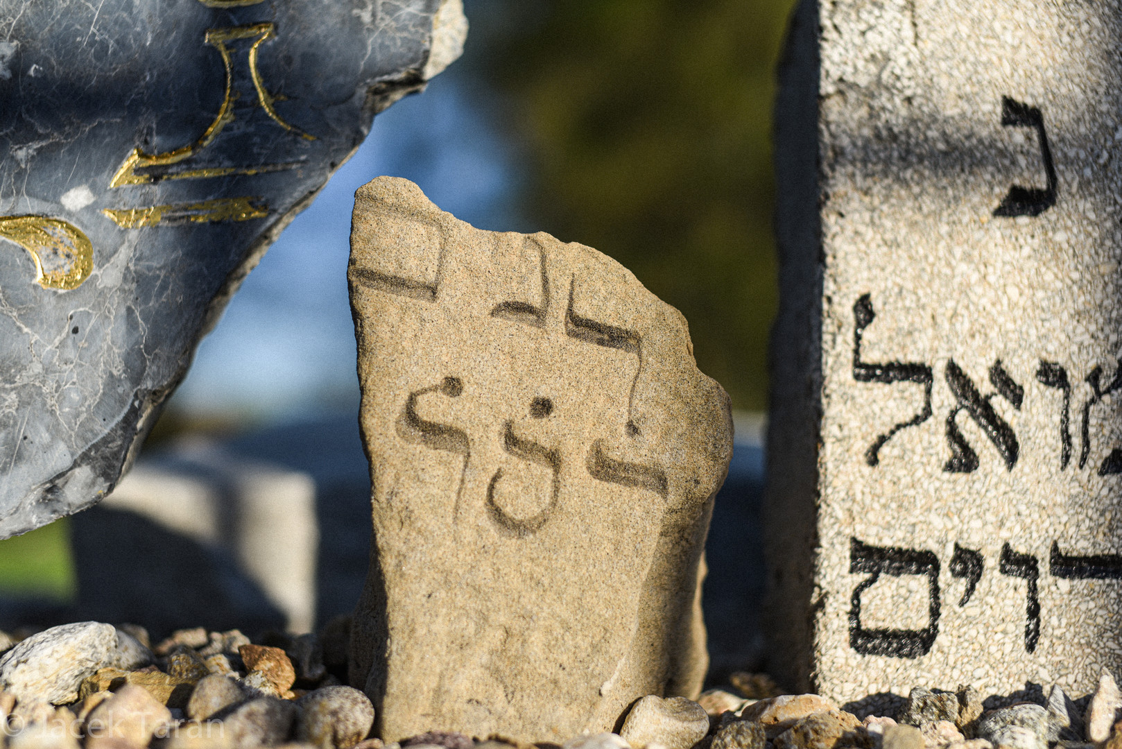 Fragmenty macew na cmentarzu żydowskim - kadr z filmu "Ukos światła".