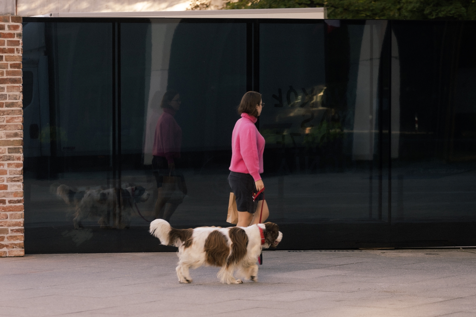 Kobieta spaceruje z psem przy instalacji "Dwie strony muru" Muzeum POLIN.