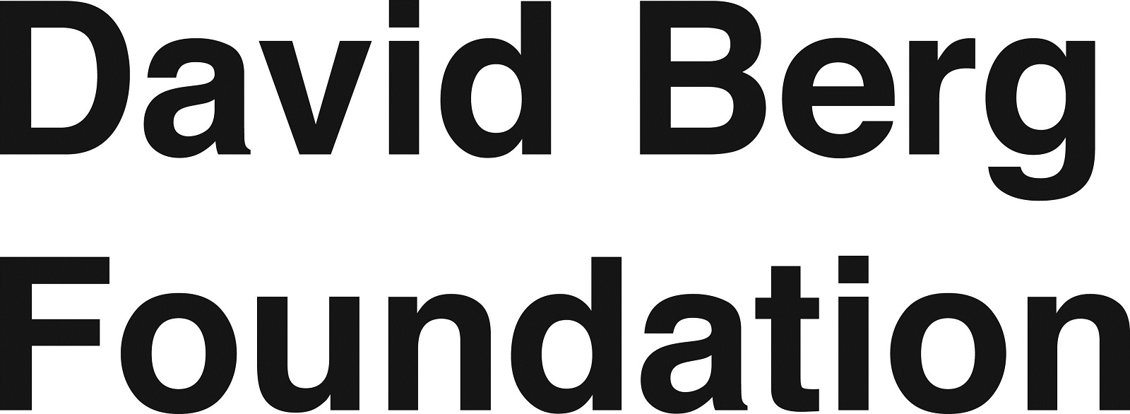 The David Berg Foundation