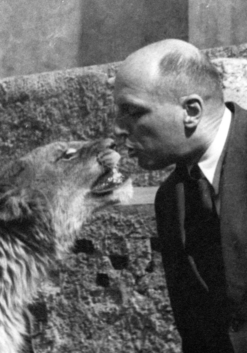 Jan Żabiński całuje lwa.