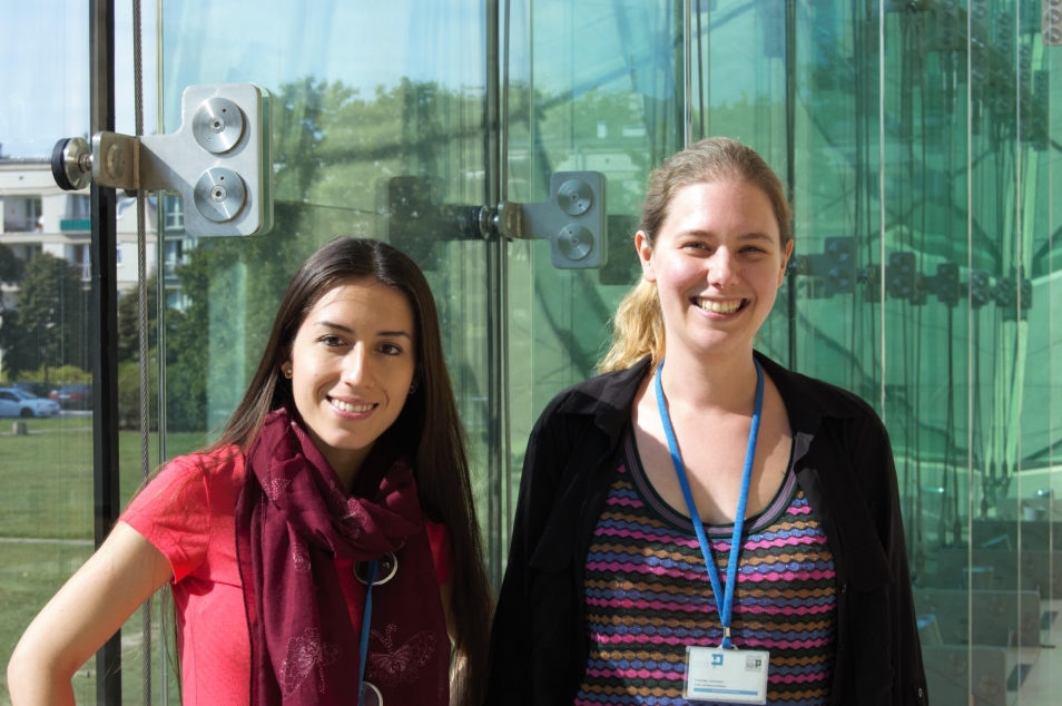 Greenberg Family International Internship Program