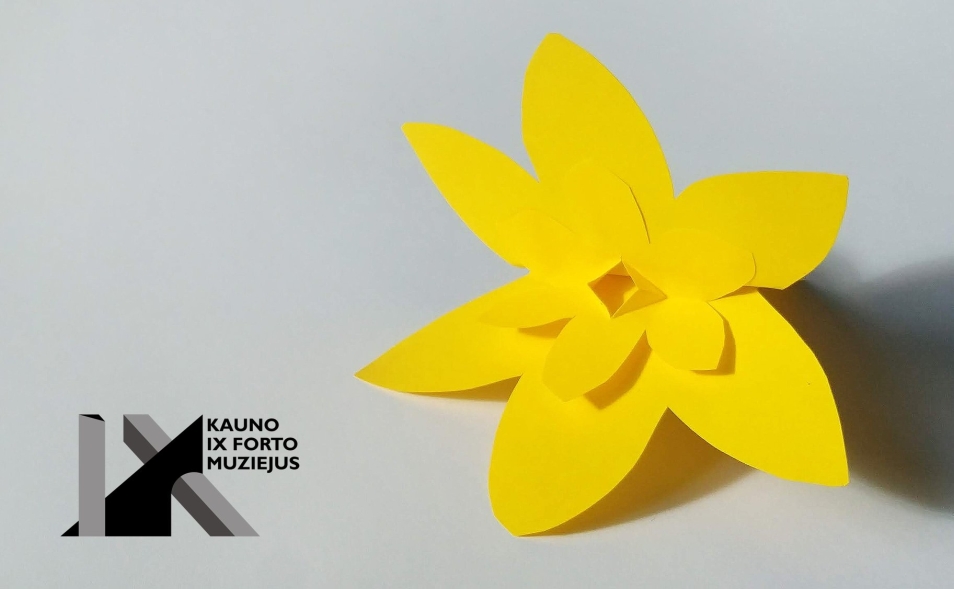 Pictures from the 2019 Warsaw Ghetto Campaign - Kauno IX Forto Muziejus