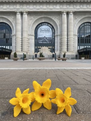In Polish: piękne żółte żonkile zrobione na szydełku leżą na placu na kostce brukowej przed dużym budynkiem