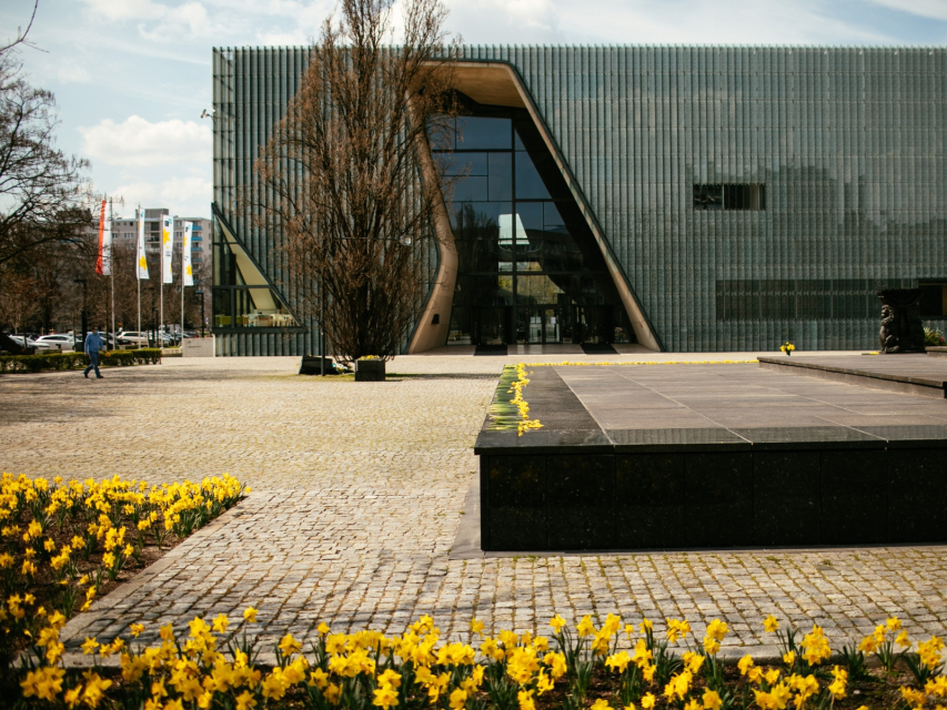 Budynek Muzeum POLIN i pomnik Bohaterów Getta w otoczeniu kwitnących żonkili.