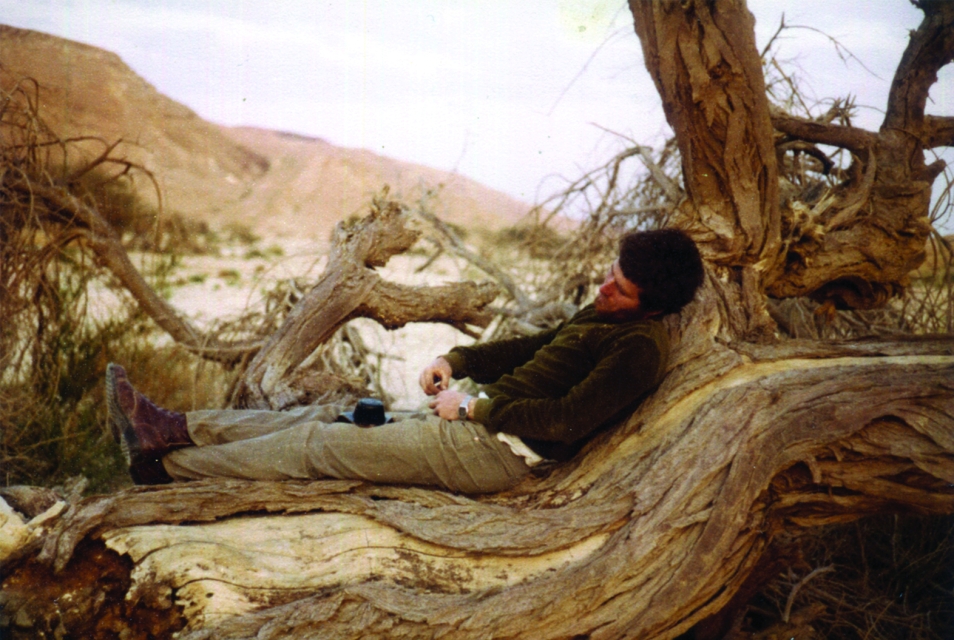 A man lies on the branch of a fallen tree.