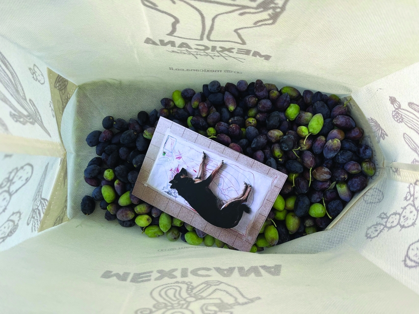 A picture of a dog lies in a bag of coffee seeds.