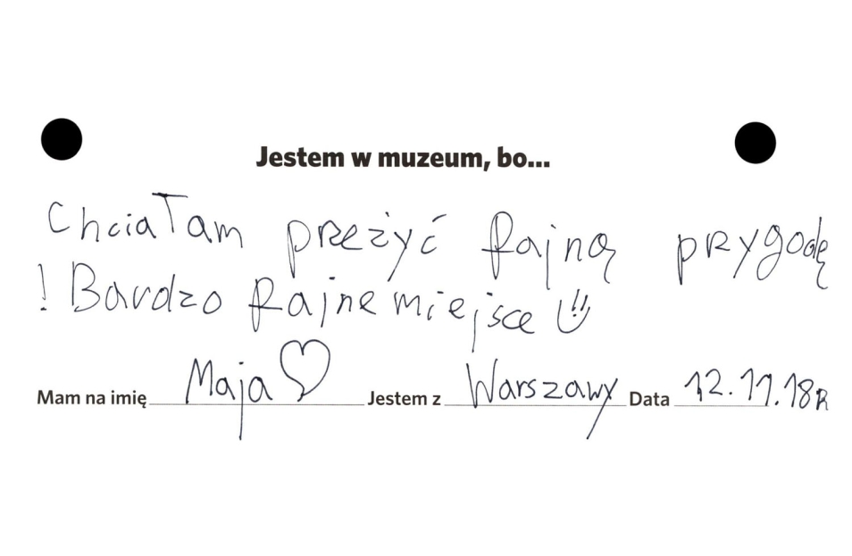 opinia o wystawie czasowej