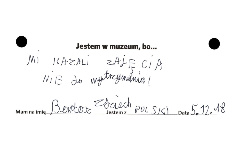 opinie o wystawie czasowej