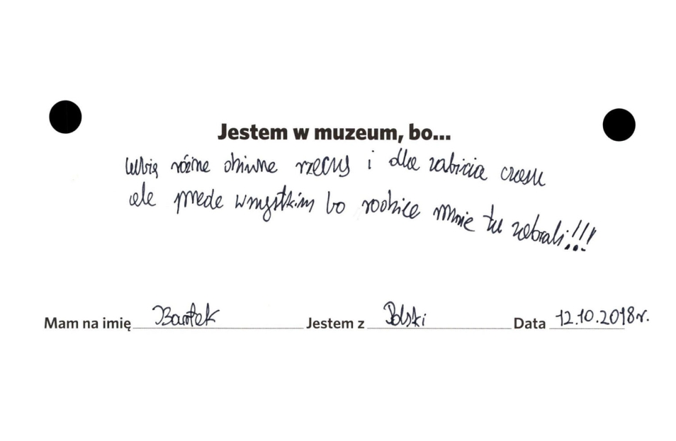 opinie o wystawie czasowej