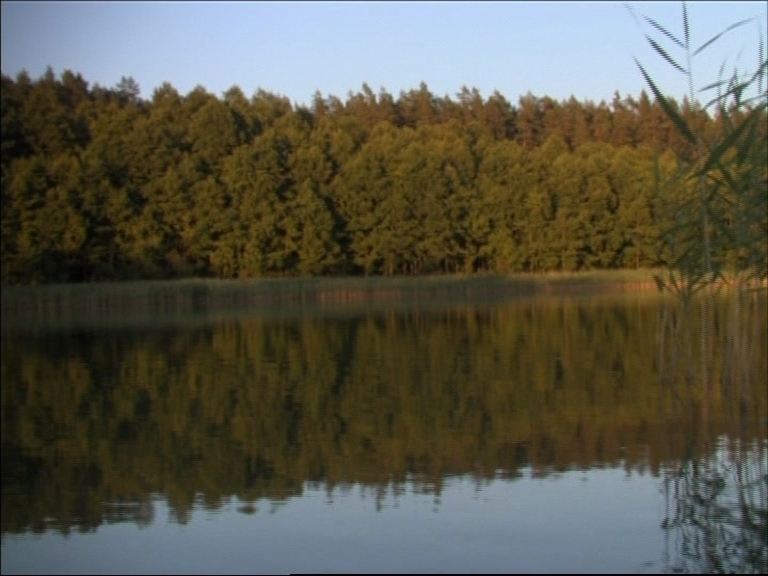 Zalew