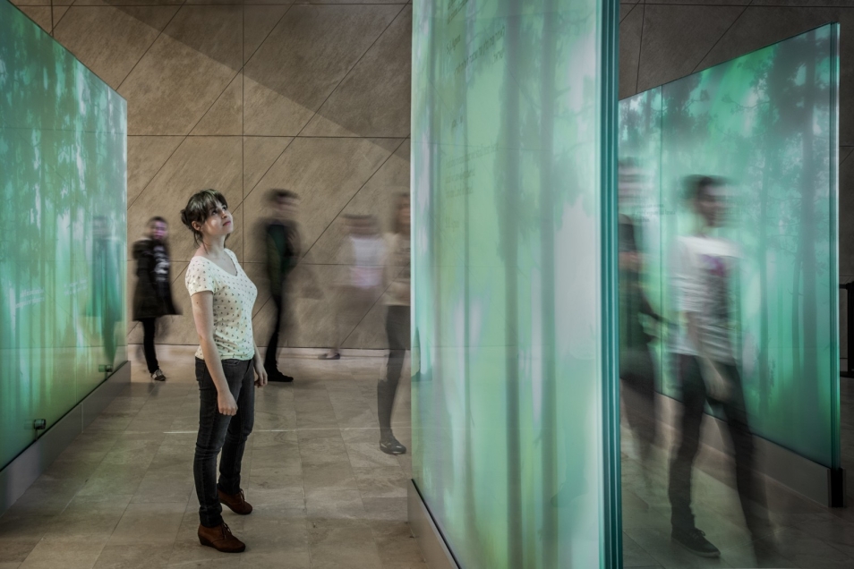 Kobieta przygląda się instalacji w galerii Las w Muzeum POLIN.