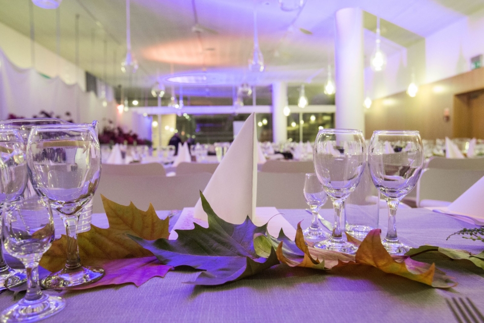 TISZ Festiwal Żydowskiego Jedzenia, Muzeum POLIN, kolacja szabatowa, Fania Lewando
