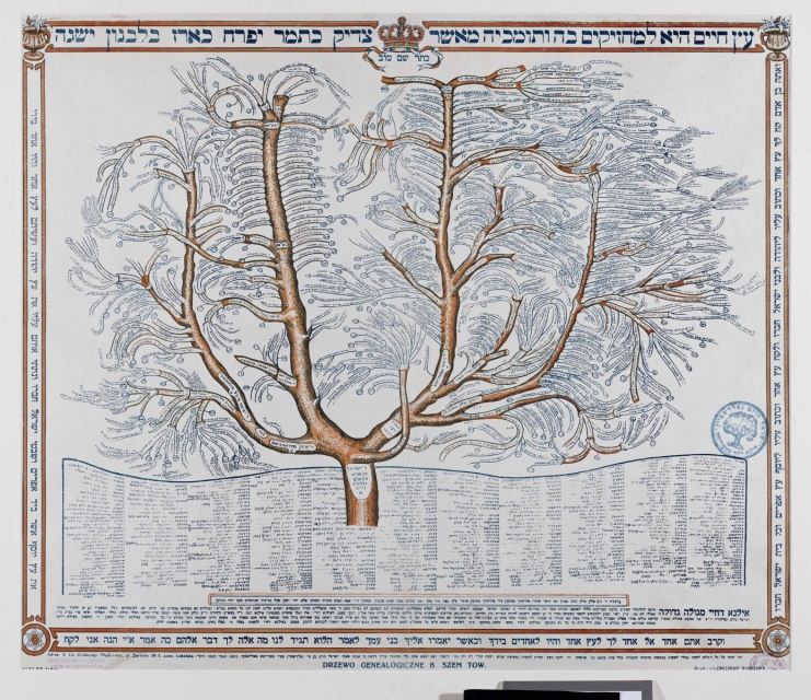 Drzewo genealogiczne