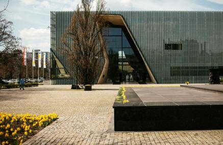 Budynek Muzeum POLIN i pomnik Bohaterów Getta w otoczeniu kwitnących żonkili.