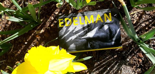 Książka "Marek Edelman - biografia" leży na trawniku, między kwitnącymi żółtymi żonkilami