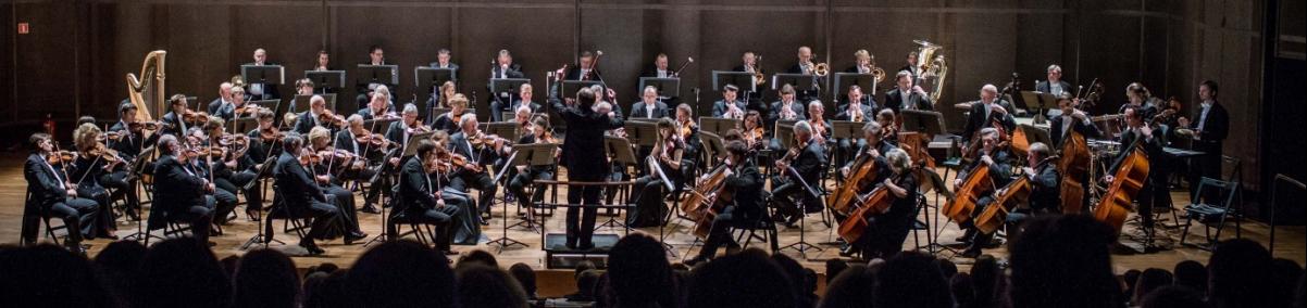 Koncert Sinfonia Varsovia.
