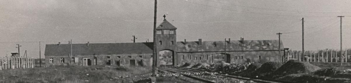 Pocztówka z obozu Auschwitz-Birkenau