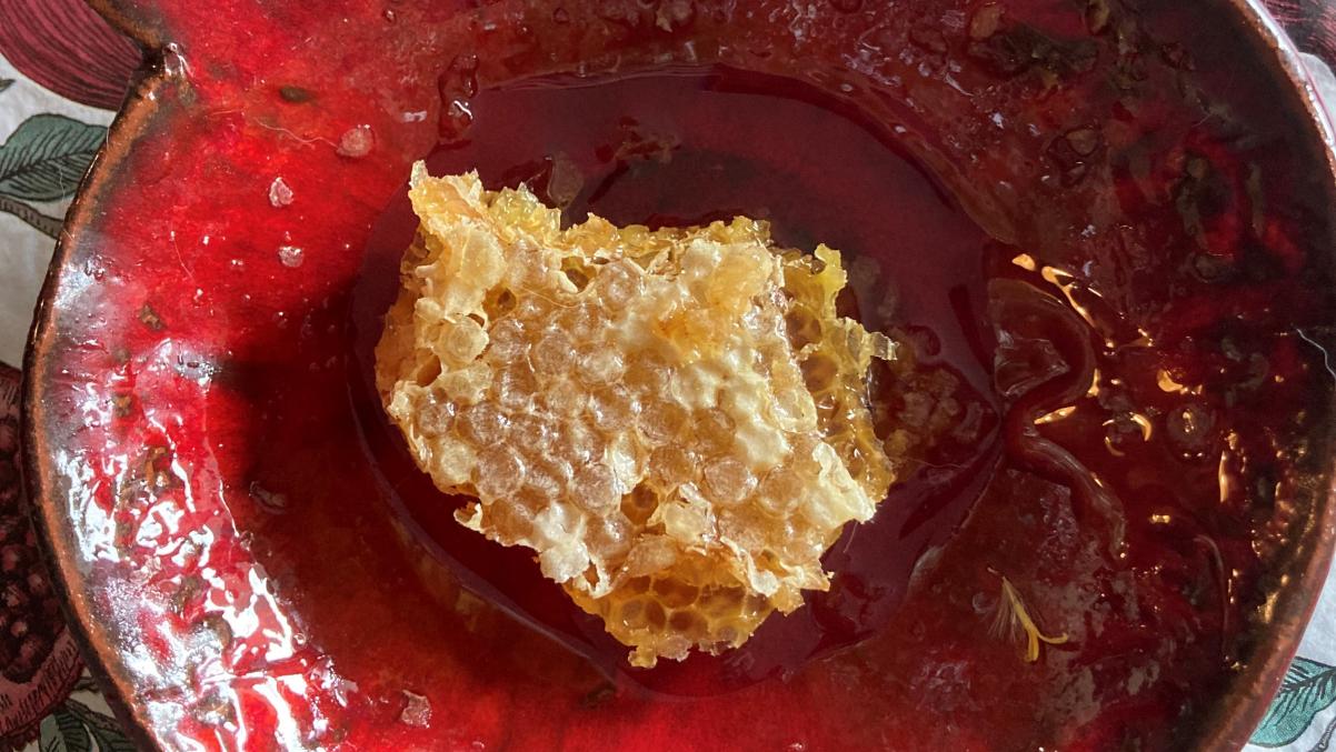 Honeycamb on a red plate.