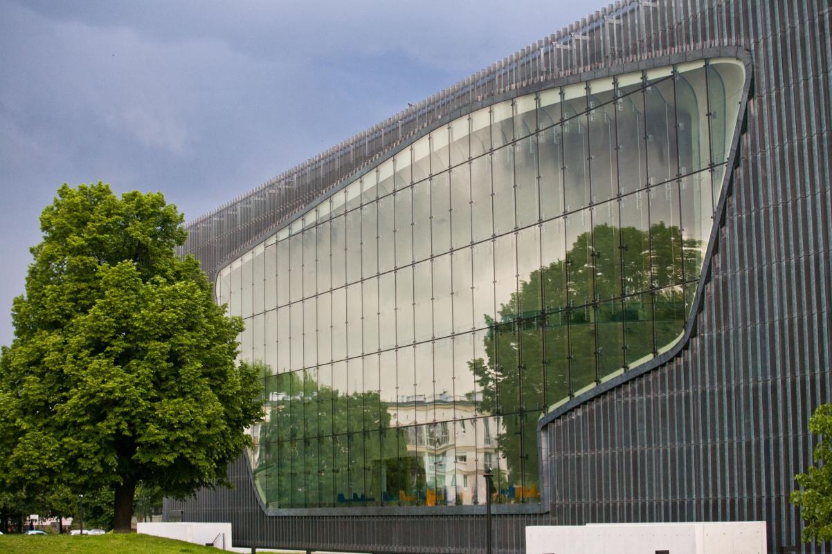 Szklana ściana w budynku Muzeum POLIN i odbijające się w niej drzewo.