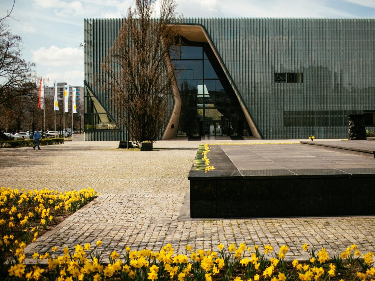 Budynek Muzeum POLIN i pomnik Bohaterów Getta w otoczeniu kwitnących żonkili.