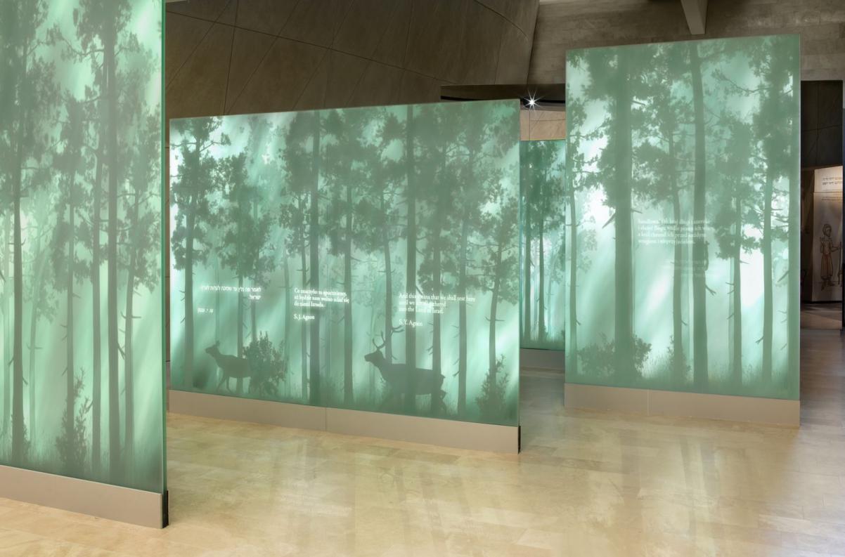 Instalacja w galerii "Las" na wystawie stałej w Muzeum POLIN.