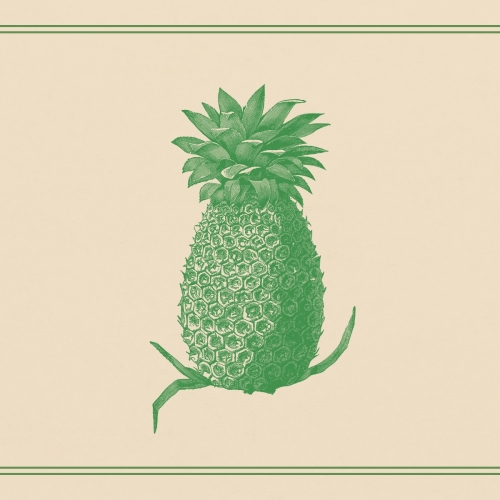 Zielony ananas na kremowym tle.